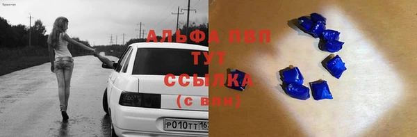 стафф Абинск