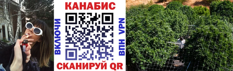 Конопля гибрид Алагир